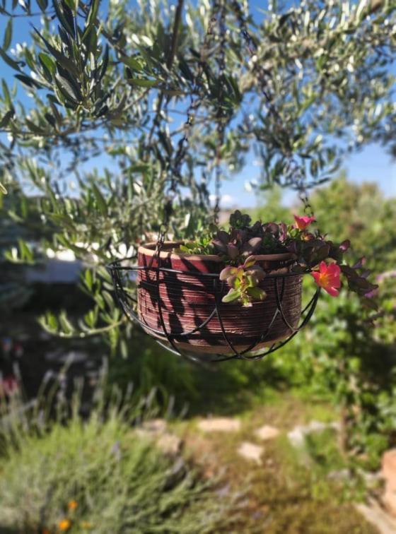 Apartmani Lucica Jezera Εξωτερικό φωτογραφία