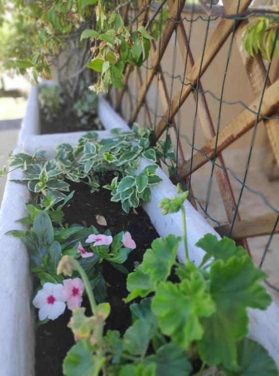Apartmani Lucica Jezera Εξωτερικό φωτογραφία