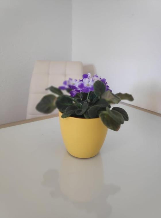 Apartmani Lucica Jezera Εξωτερικό φωτογραφία