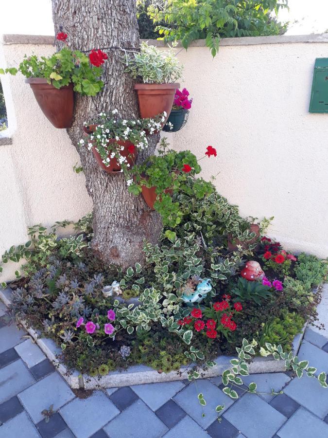 Apartmani Lucica Jezera Εξωτερικό φωτογραφία
